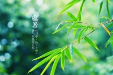 处暑时节如何养身健体