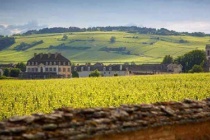 法国梅多克产区简介