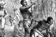 蓄奴州是什么意思