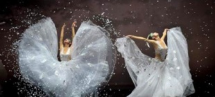 1958年11月10日：杨丽萍出生