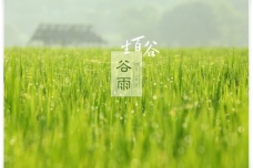 谷雨的含义