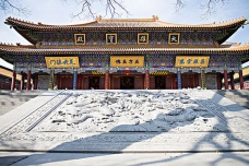 大兴善寺的历史沿革