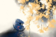 孟浩然的诗词收录