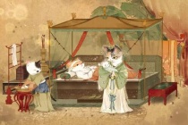 狸猫换太子是真的吗