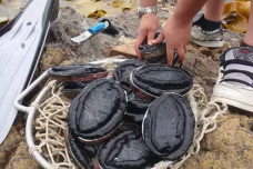 新西兰的饮食文化