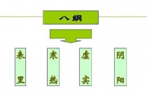 八纲辨证中的八纲是什么