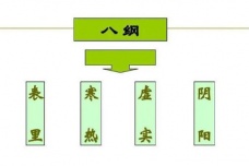 八纲辨证中的八纲是什么