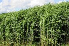 秦朝的饮食习惯