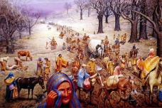 美国西进运动的残忍代价