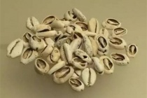 夏朝赋税的内容