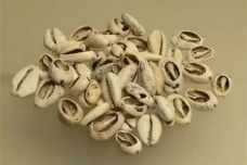 夏朝赋税的内容