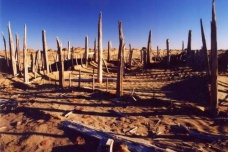 精绝国在历史上真的存在吗