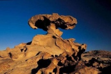 风成地貌的类型有哪些