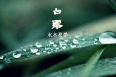 白露时节各地的农业安排