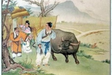 传说中的牛郎织女指的就是董永和七仙女吗