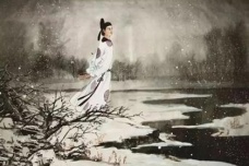 《咏怀古迹五首》