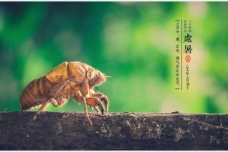 处暑的节气含义