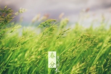 春分的内涵与意义