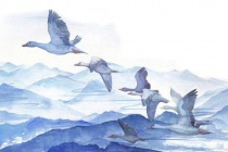 元好问：国亡被囚