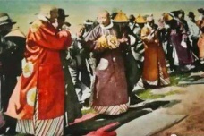 土司制度是什么