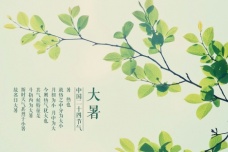 大暑时节各地有哪些风俗