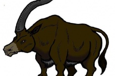 山海经中真实存在的动物兕