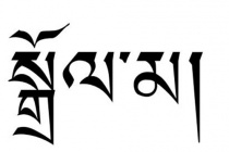 藏语在近代是如何发展的