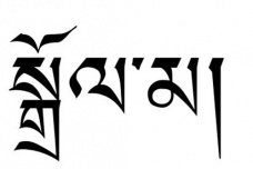 藏语在近代是如何发展的