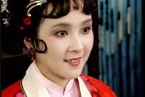 薛宝琴人物相关