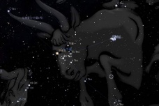 毕月乌属于什么星宿