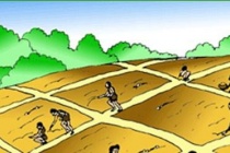 商鞅变法废井田开阡陌