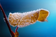 霜降节气应该怎么养生