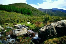 卓仓藏族的土葬有什么特点