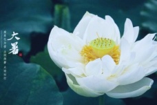 大暑养生该注意什么