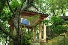 陈献章的主要成就