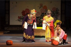 狸猫换太子的经过