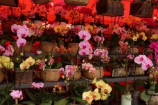 迎春花市的来历