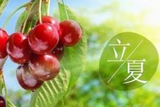 立夏时节的农业管理