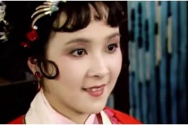 宝琴为什么说谎