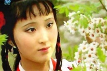 潇湘馆的文学意象