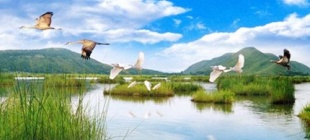 1971年2月2日：《湿地公约》签署