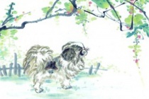 狗的生肖神话与民俗