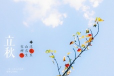 立秋的天气特点与农事指南