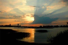 十二生肖的排序