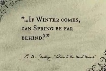 关于雪莱的励志名言三十句