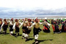 谐钦是什么类型的舞