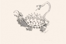 山海经中真实存在的动物旋龟