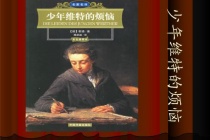 《少年维特的烦恼》的主题和影响