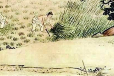 占山格制度是什么
