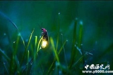 白居易的放言五首